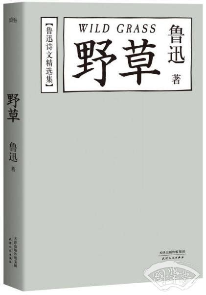 鬼暗眼|鲁迅的《野草》中的《秋夜》中的“鬼睞眼”是什么意思？